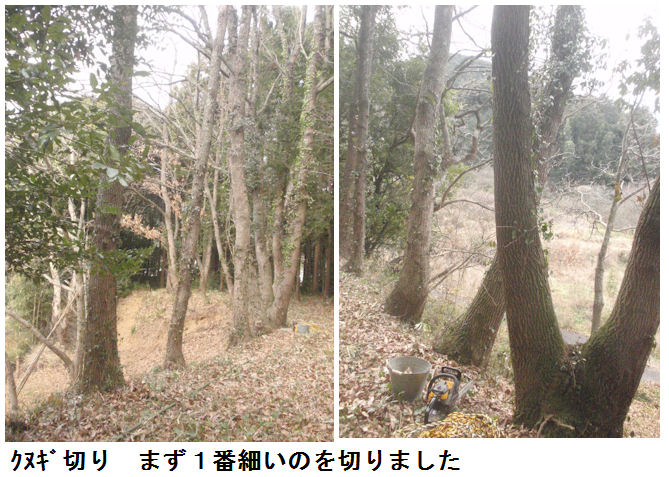 f:id:chuumeikun:20220208165721j:plain