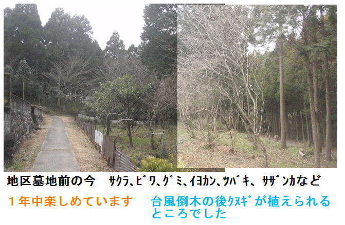 f:id:chuumeikun:20220208170229j:plain