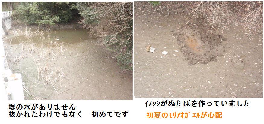 f:id:chuumeikun:20220209162744j:plain