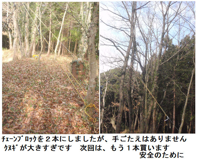 f:id:chuumeikun:20220209162908j:plain