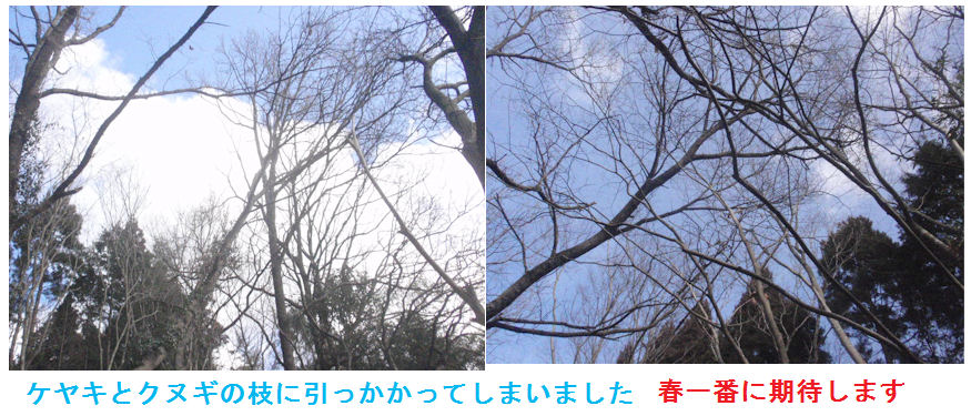 f:id:chuumeikun:20220209163217j:plain