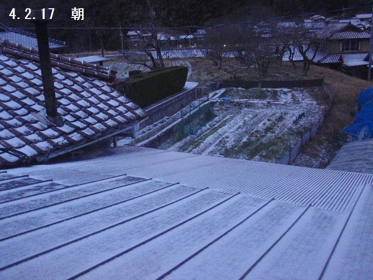 f:id:chuumeikun:20220217173932j:plain