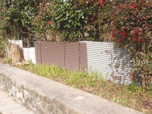 f:id:chuumeikun:20220228154920j:plain