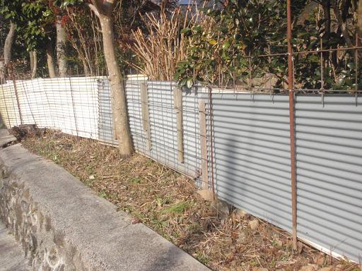 f:id:chuumeikun:20220228154929j:plain