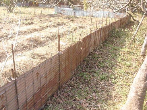 f:id:chuumeikun:20220228154937j:plain