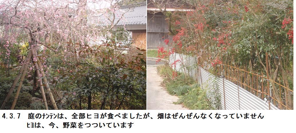 f:id:chuumeikun:20220307134657j:plain