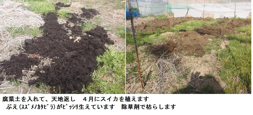 f:id:chuumeikun:20220307134752j:plain