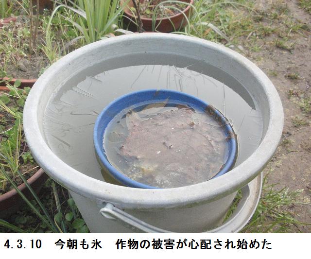 f:id:chuumeikun:20220310113211j:plain