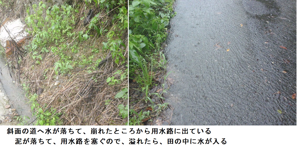 度々大雨、稲刈りが遅れる - チューメイくんの田舎ぐらし