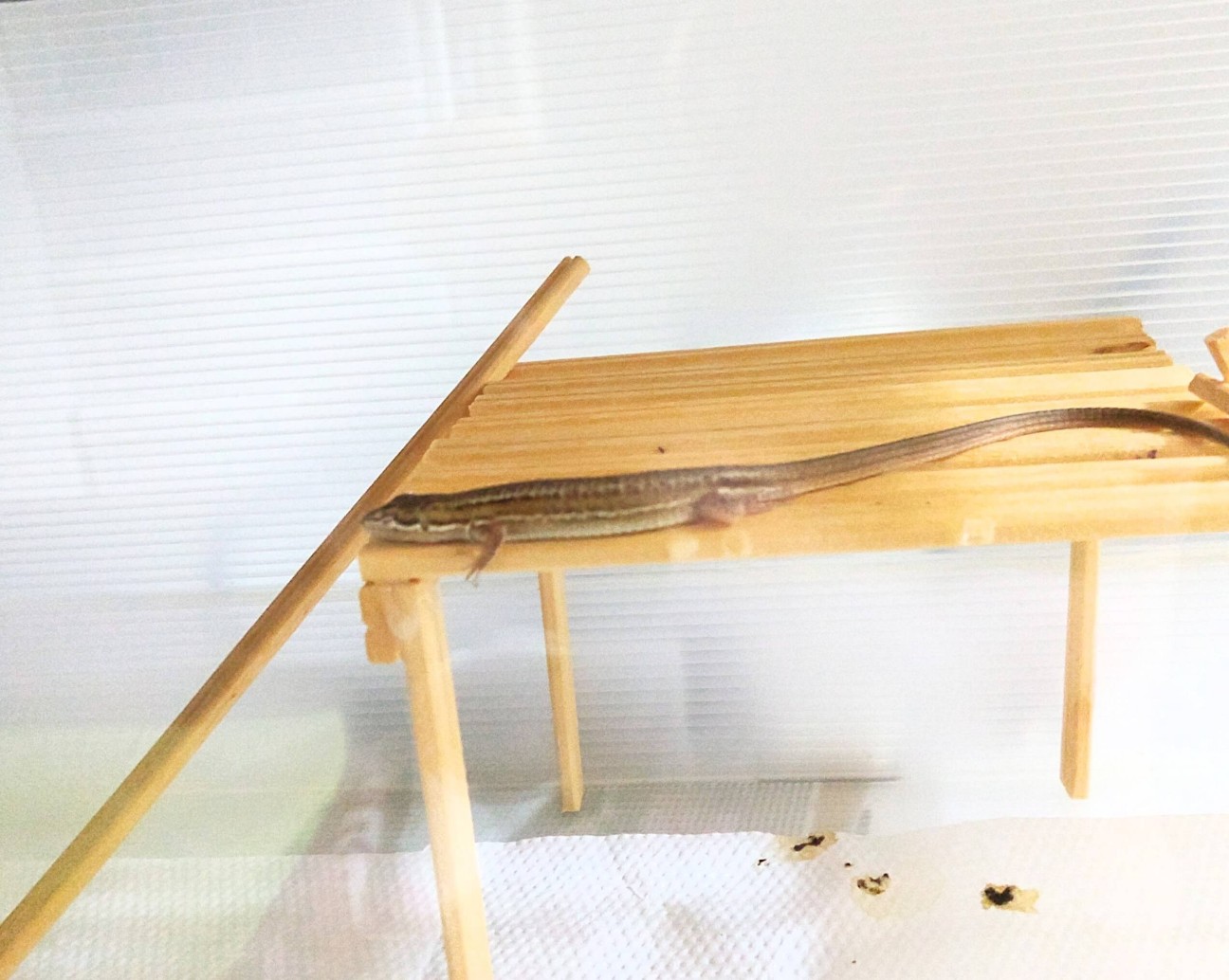 f:id:chuunentenki:20190722203150j:plain f:id:chuunentenki:20190722203150j:plain