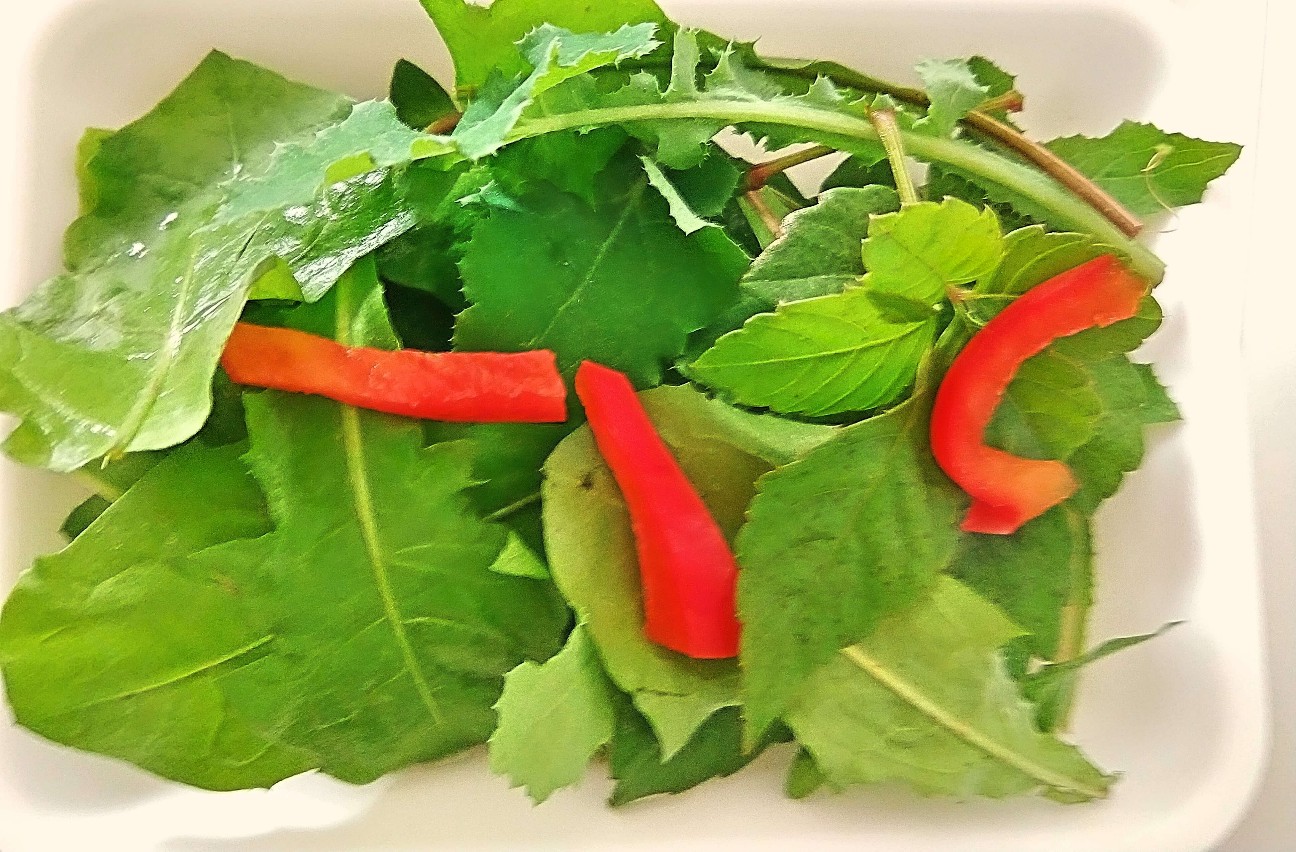 f:id:chuunentenki:20191110080226j:plain