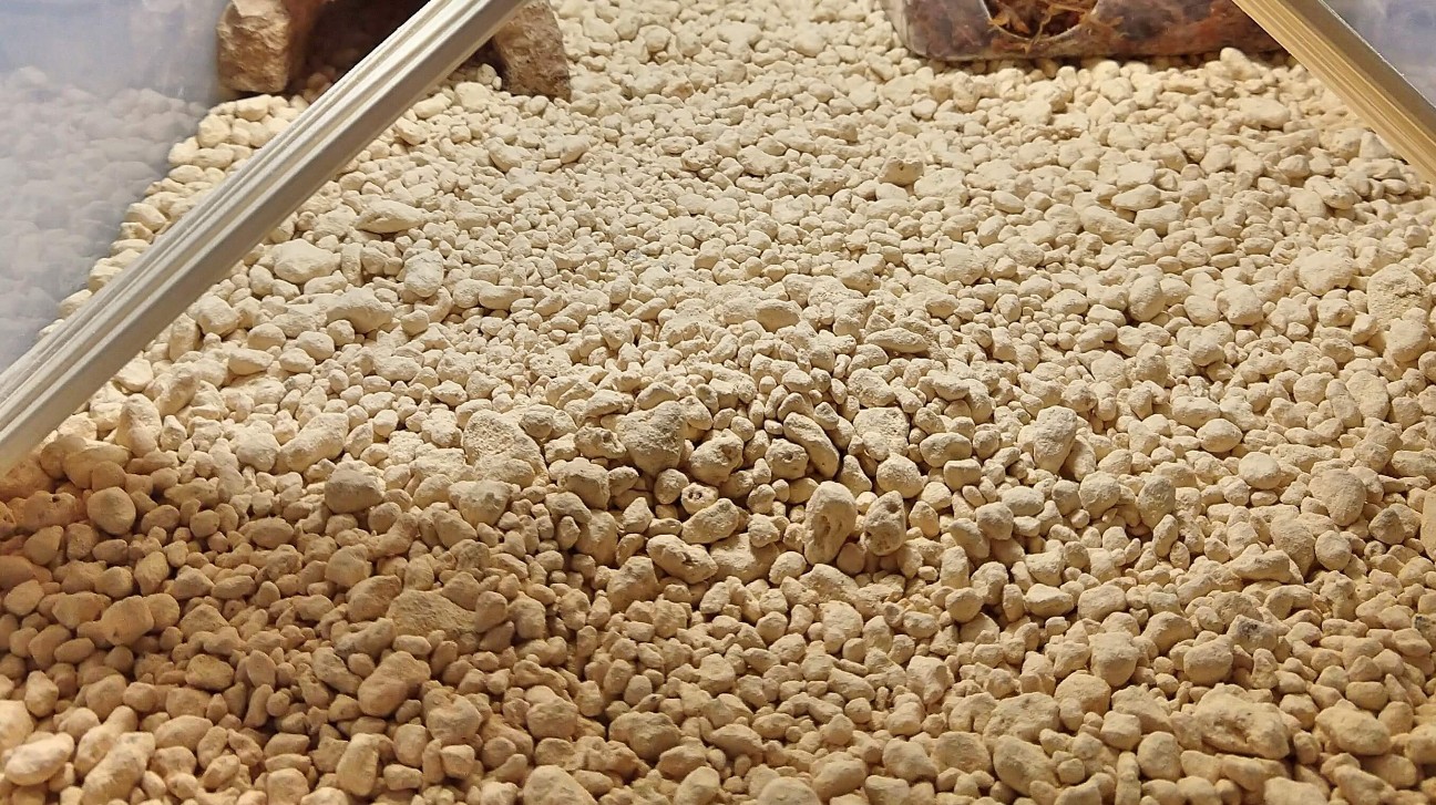 f:id:chuunentenki:20200304132739j:plain