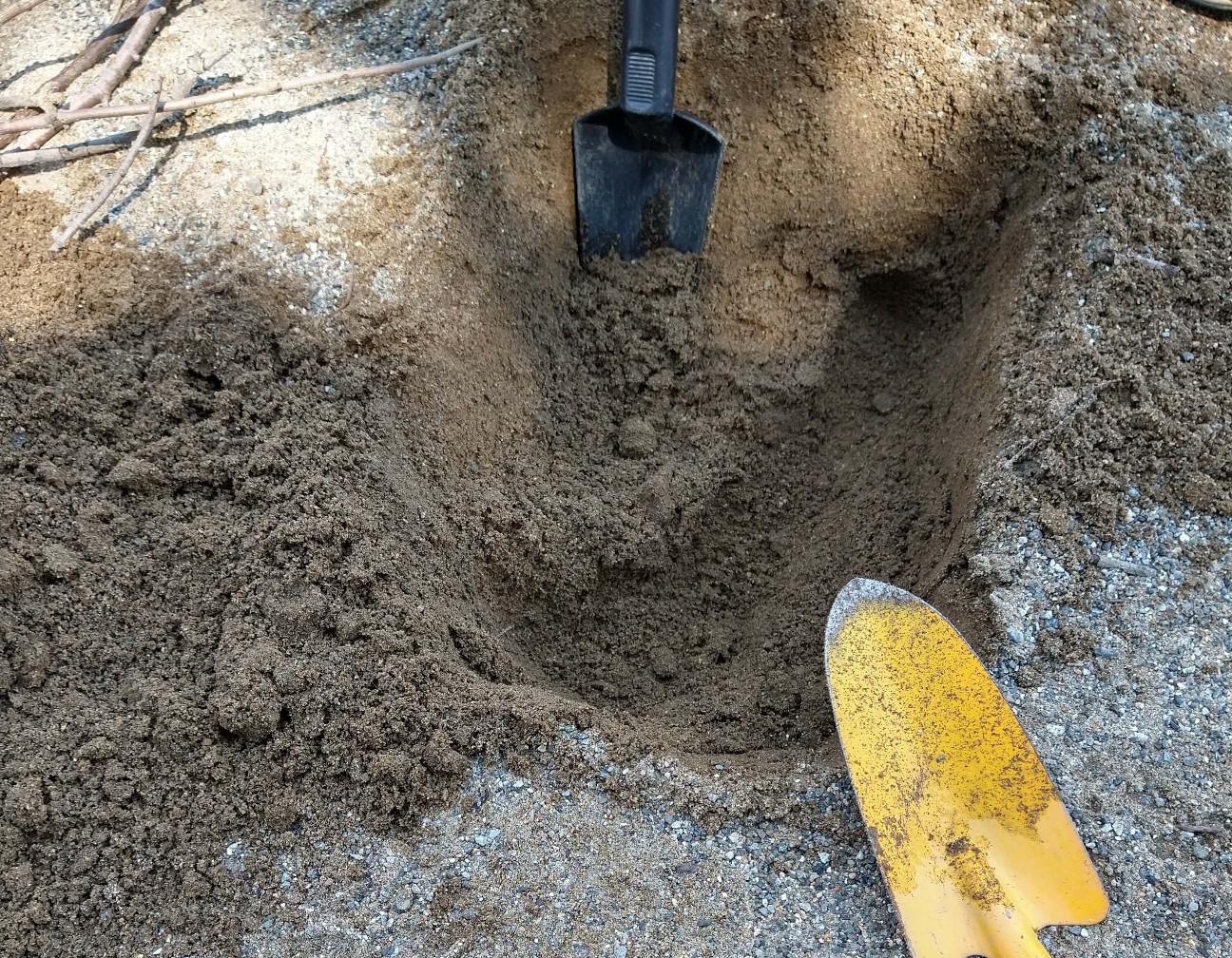 f:id:chuunentenki:20200415114905j:plain