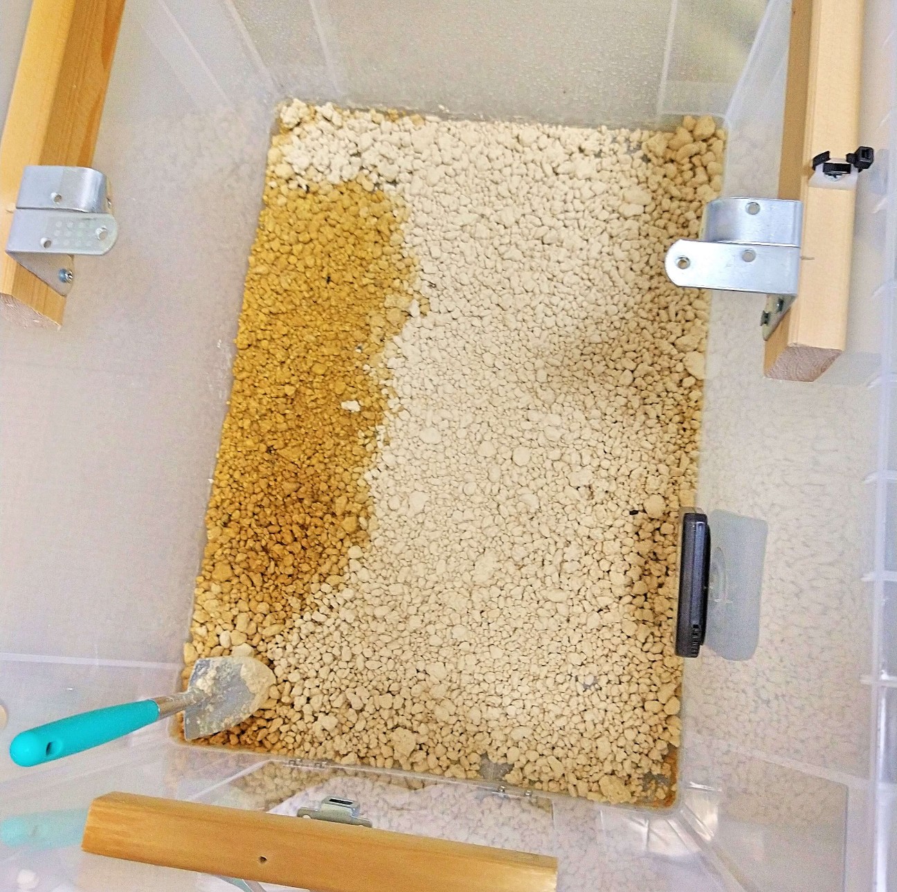 ニホンカナヘビの床材を ピートモス にした理由 Favorite Creatures