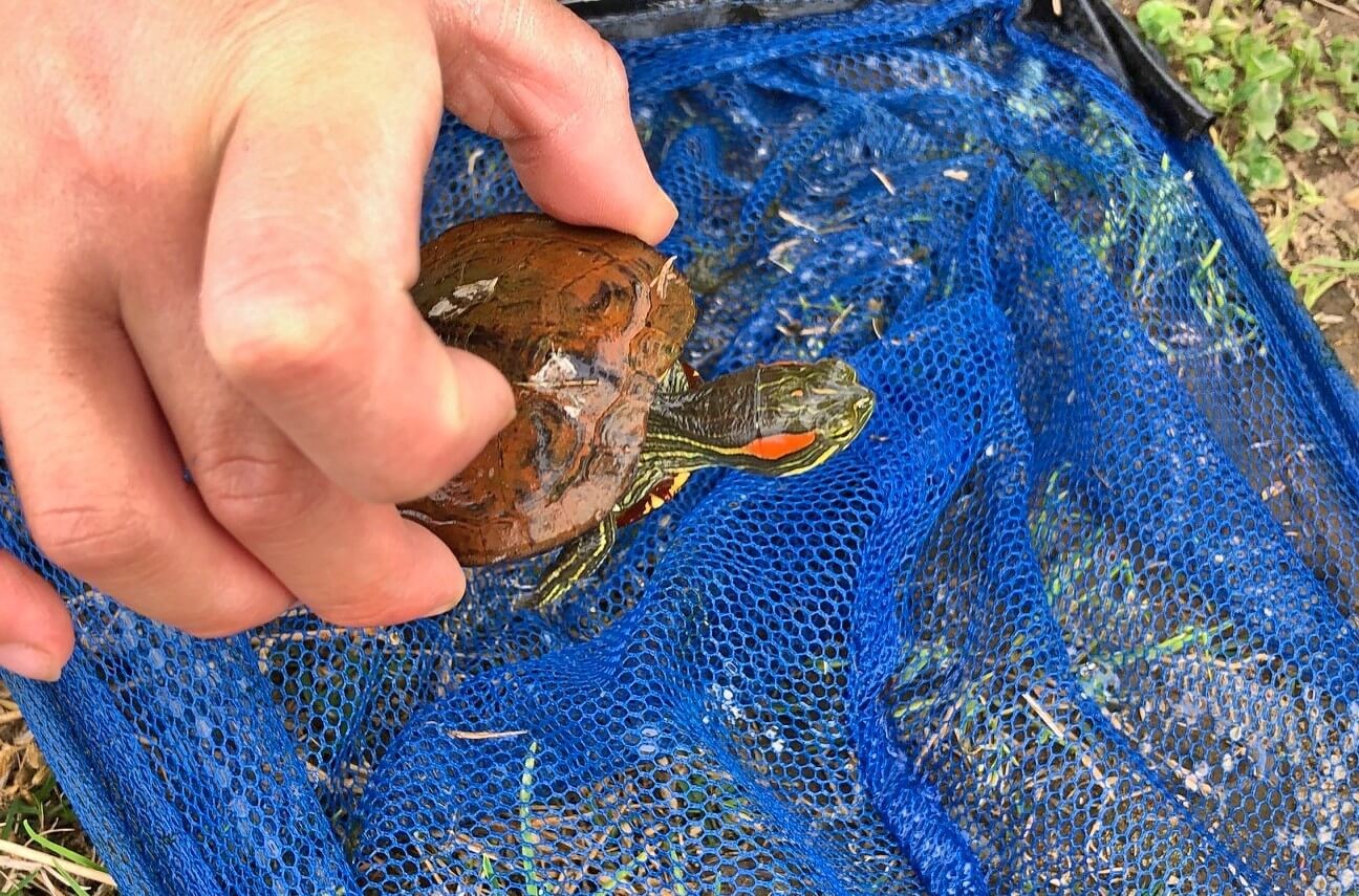 f:id:chuunentenki:20200506155001j:plain