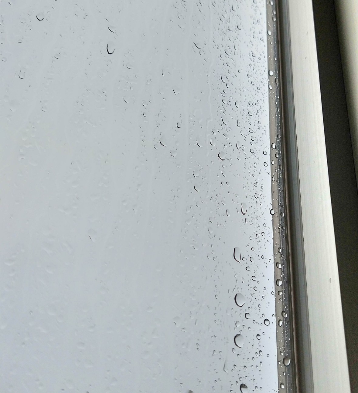 f:id:chuunentenki:20200702100630j:plain