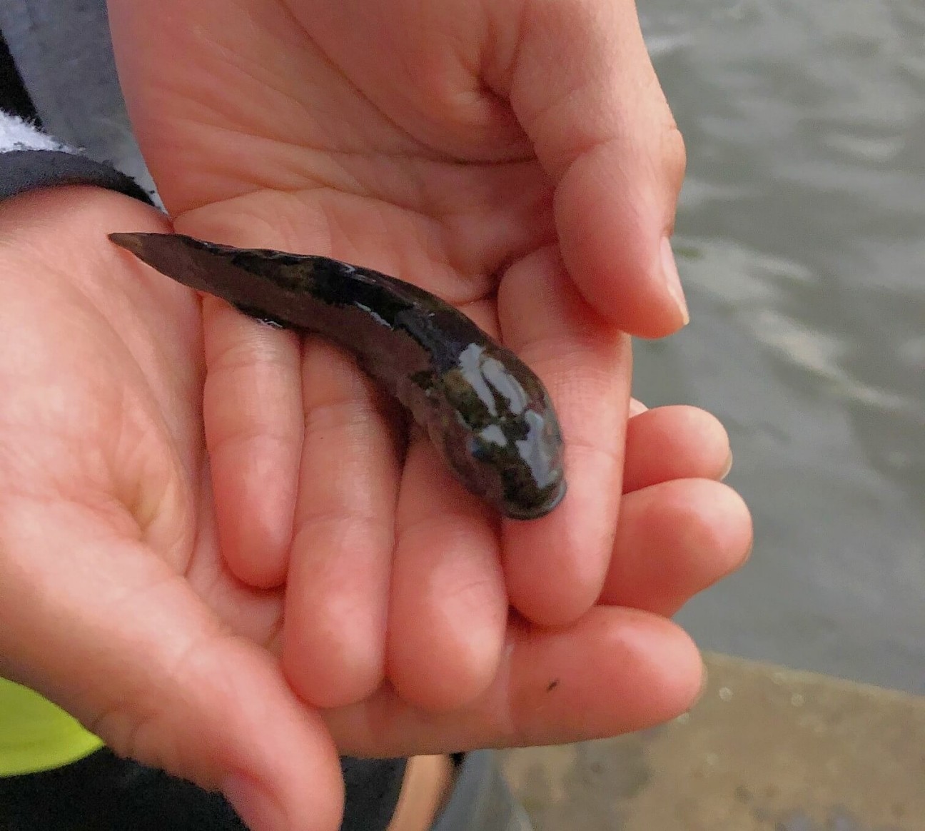 f:id:chuunentenki:20200929233226j:plain