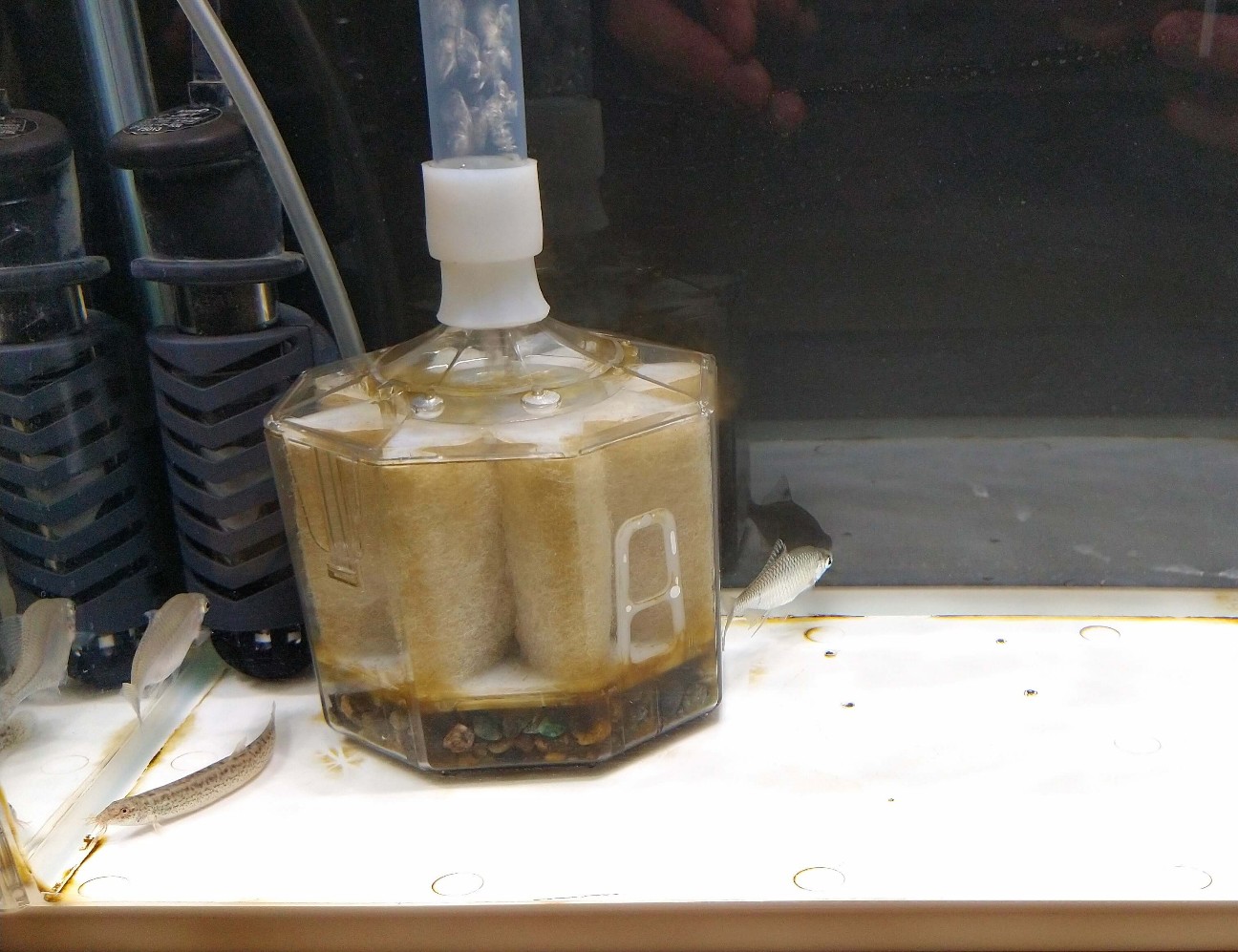 f:id:chuunentenki:20201028002900j:plain f:id:chuunentenki:20201028002900j:plain