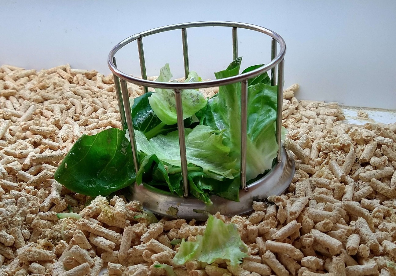 f:id:chuunentenki:20210811224221j:plain