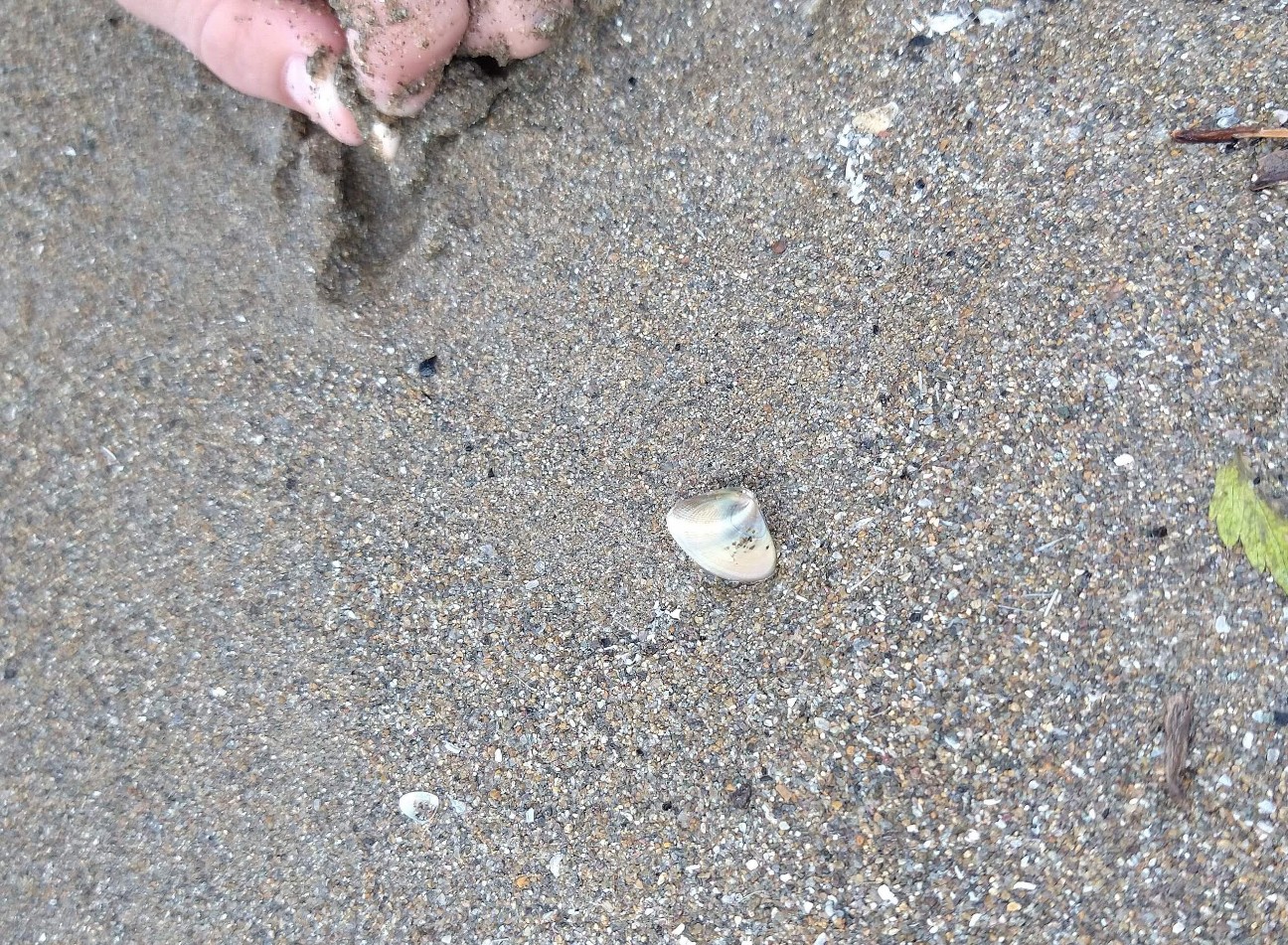 f:id:chuunentenki:20210815230237j:plain