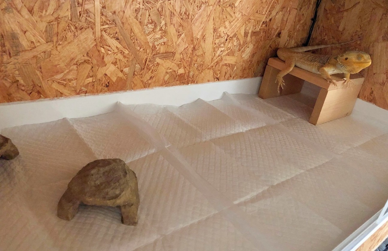 f:id:chuunentenki:20211102170544j:plain