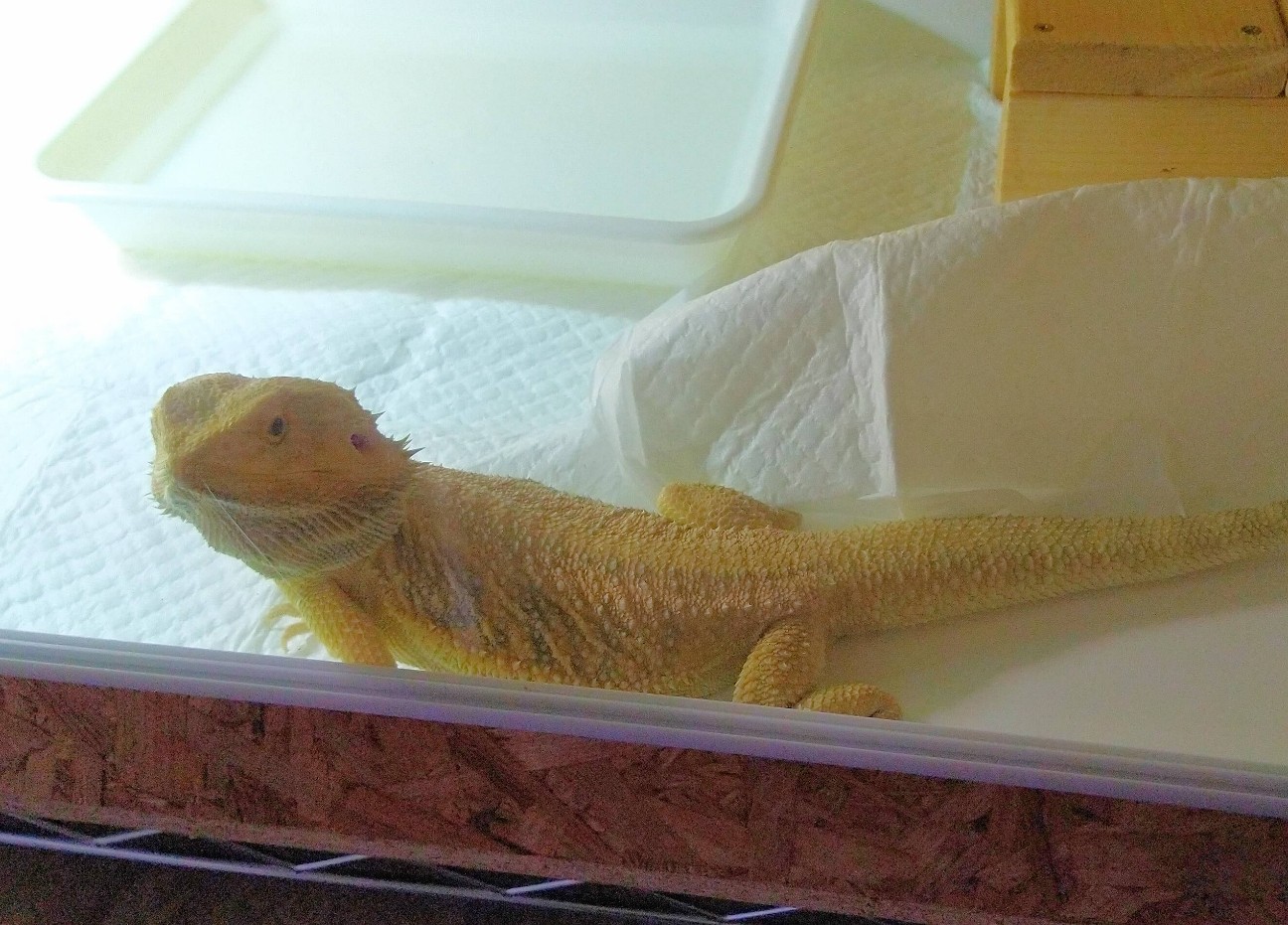 f:id:chuunentenki:20211130143504j:plain