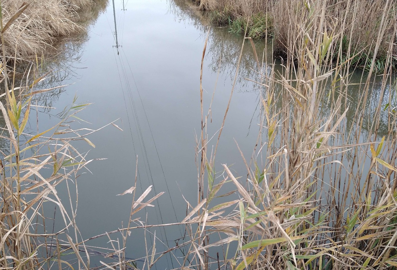 f:id:chuunentenki:20211206191715j:plain