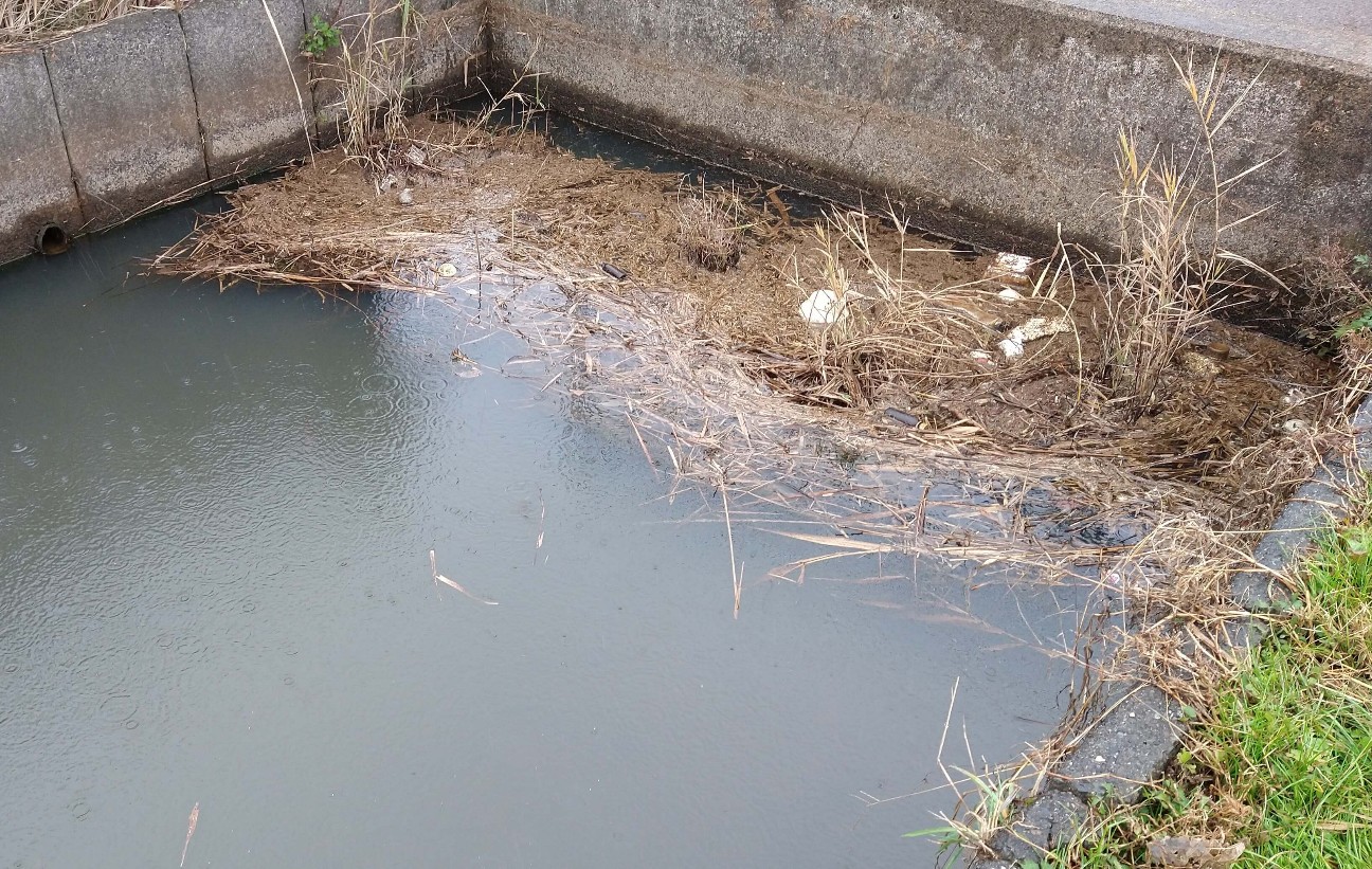 f:id:chuunentenki:20211206192057j:plain