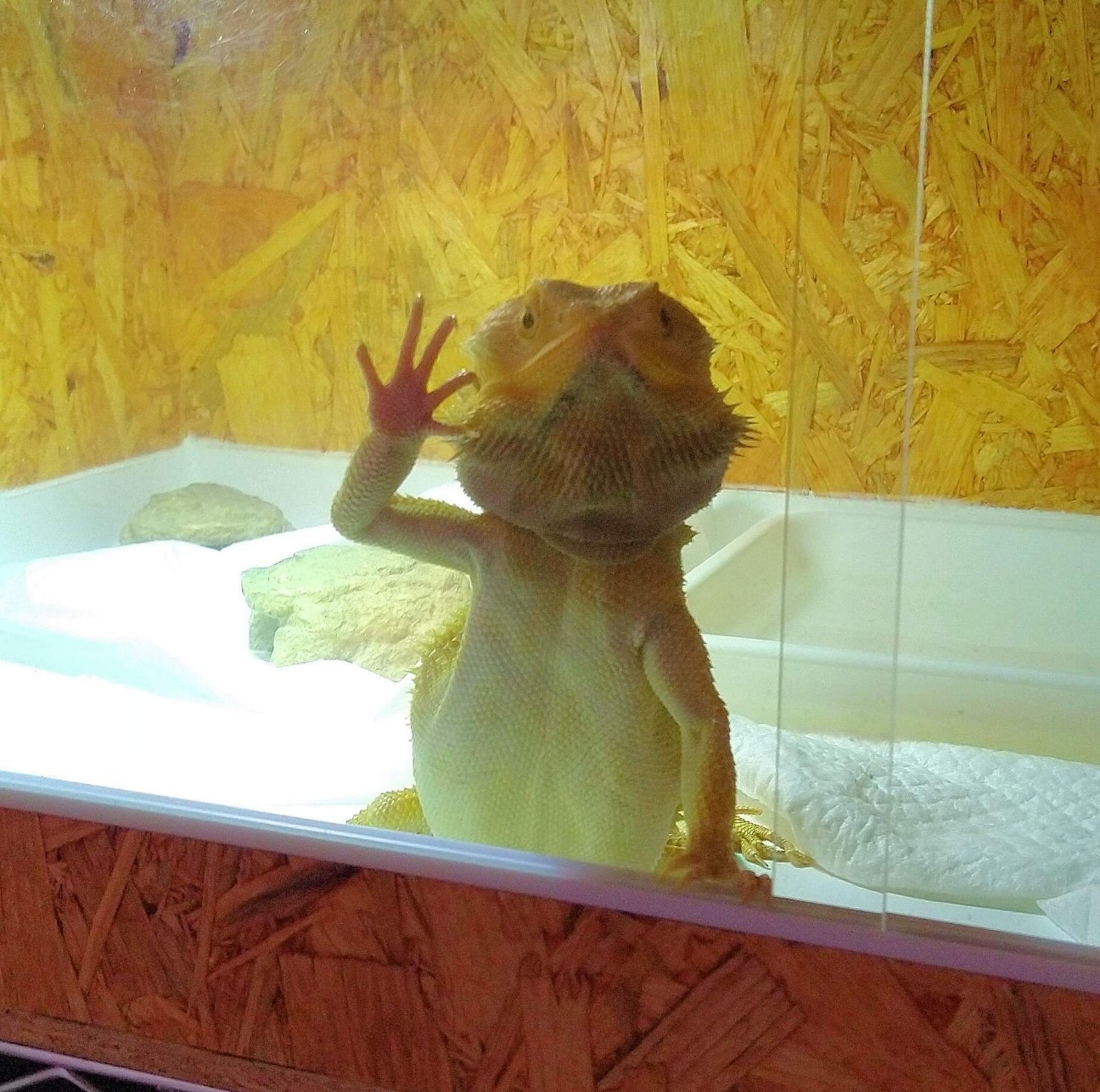 f:id:chuunentenki:20211224205508j:plain