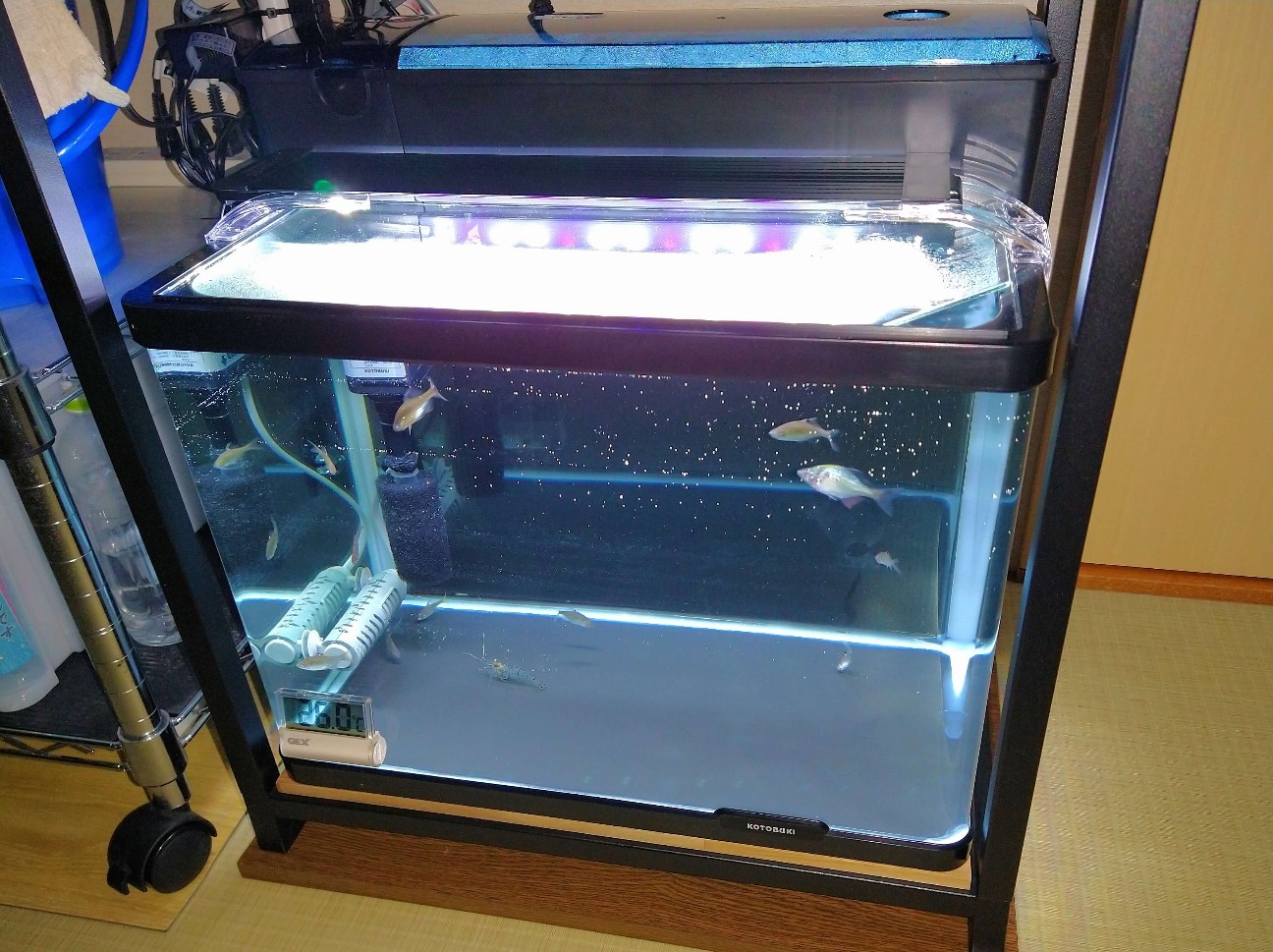 f:id:chuunentenki:20220102154613j:plain