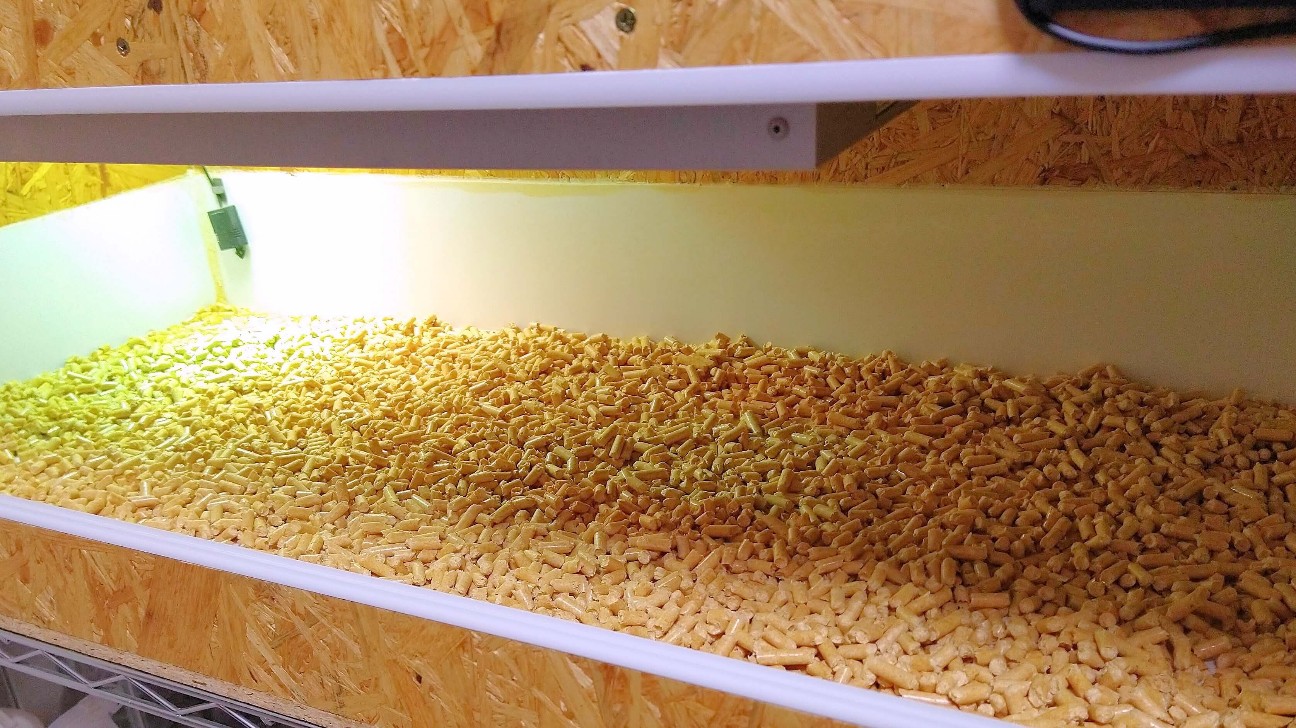 f:id:chuunentenki:20220112164522j:plain