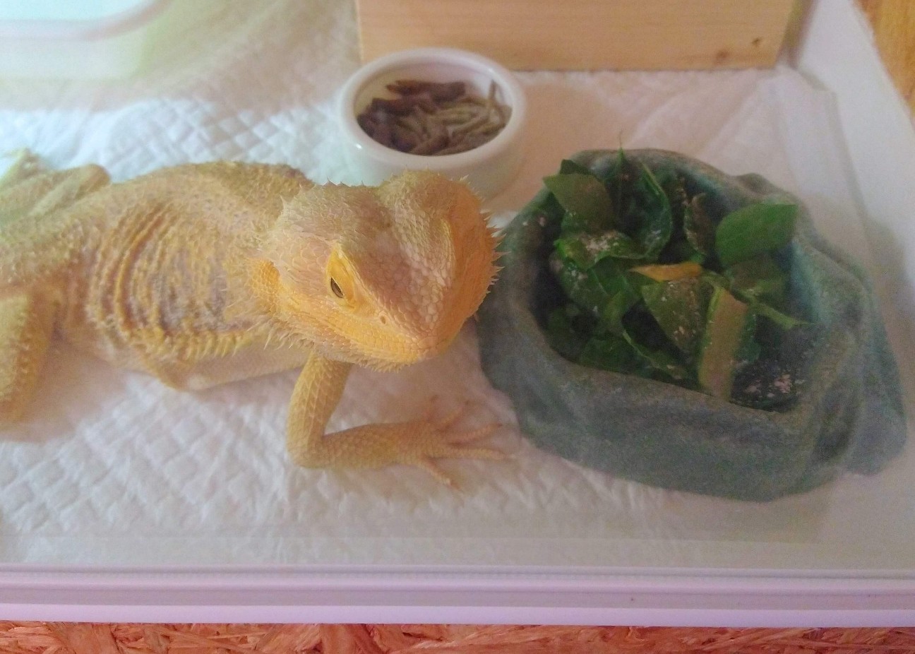 f:id:chuunentenki:20220312010431j:plain