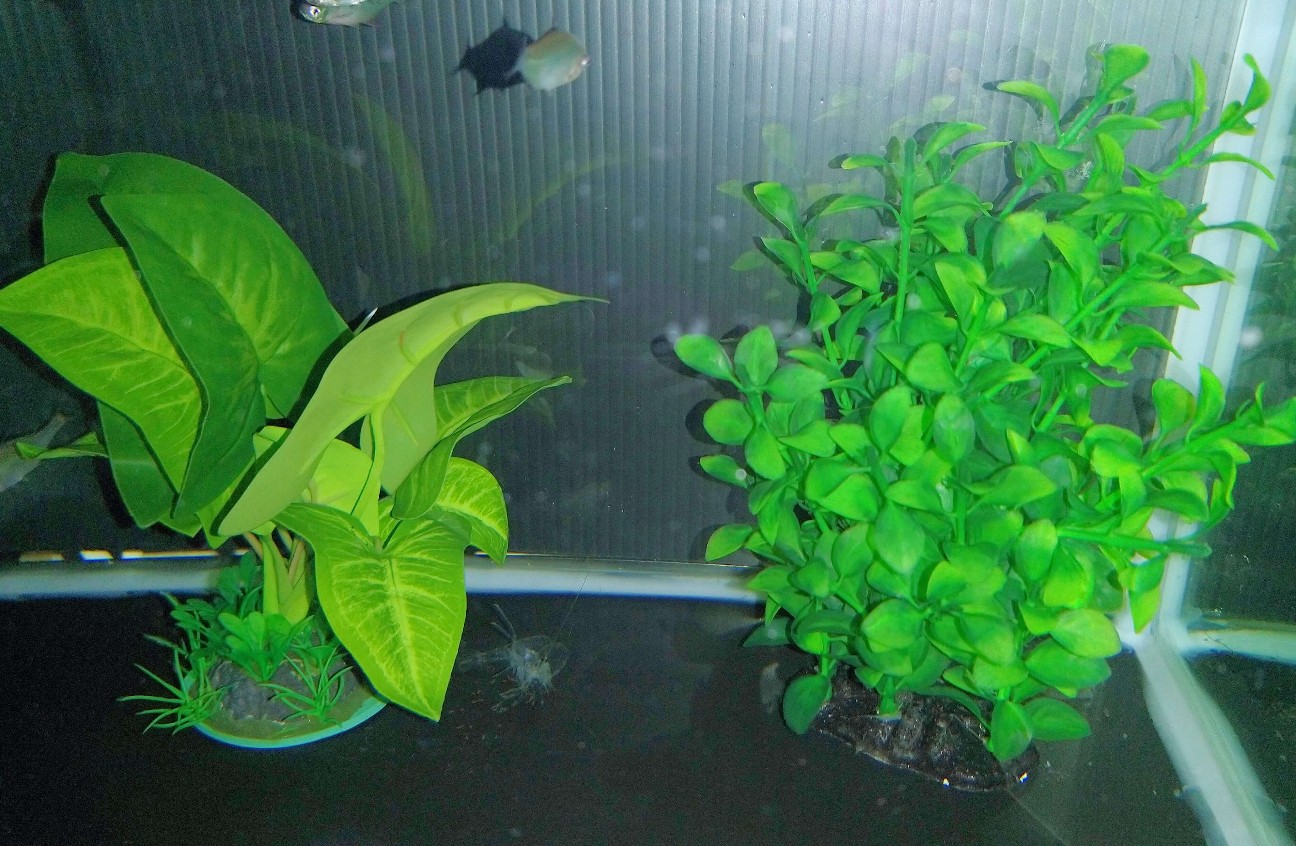 f:id:chuunentenki:20220401015156j:plain