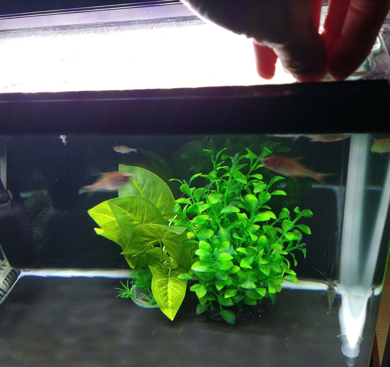 f:id:chuunentenki:20220414004715j:plain