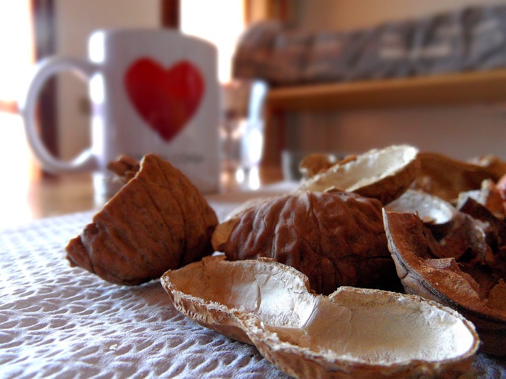 f:id:chuyan20:20171027163146j:image