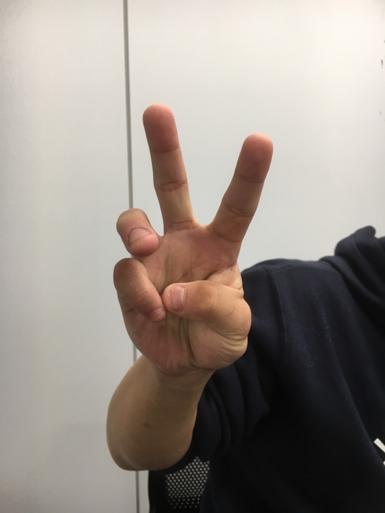 f:id:chuyasai17:20171101193752j:plain