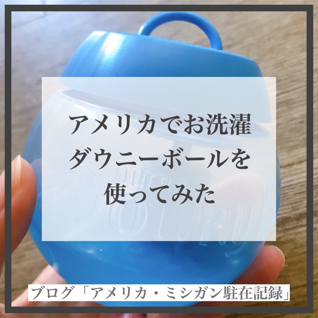 ダウニーボール アメリカ ミシガン駐在記録