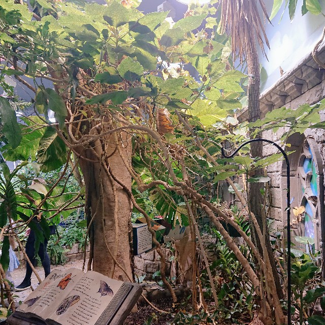 ロングアイランド水族館