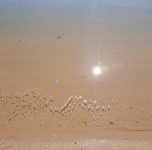 ロングアイランド