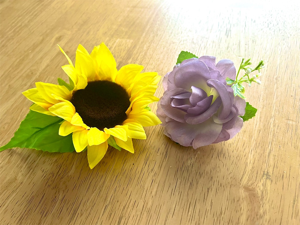 f:id:ci-coro:20250615135545j:image