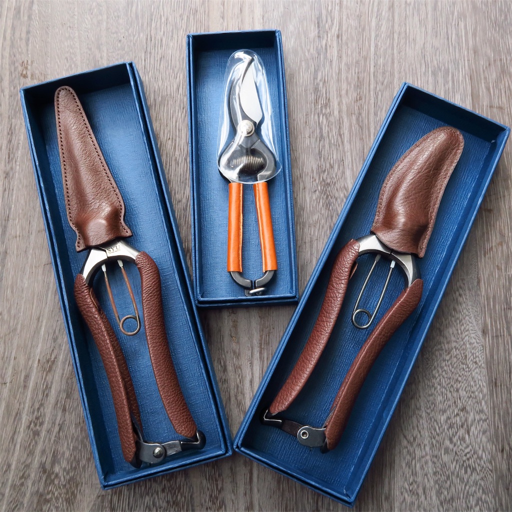 若狭屋の鋏】国産のお洒落な園芸バサミ - まほろば : チャオの多肉ブログ