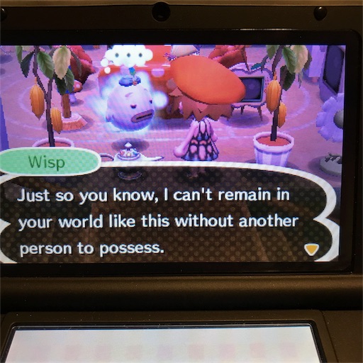 北米版とび森】Animal Crossing New Leafがamiibo＋に更新