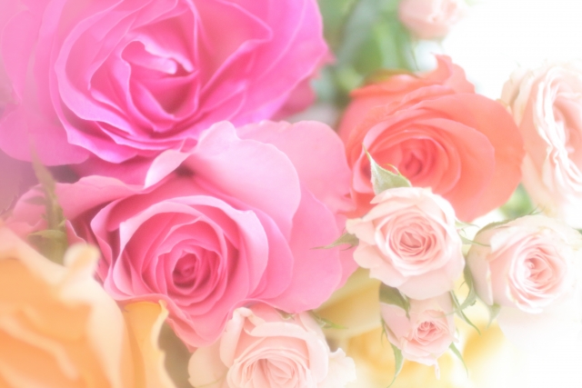 f:id:ciel114:20190930023148j:plain