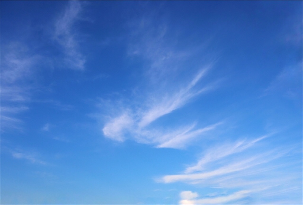 f:id:ciel114:20200922152534j:image