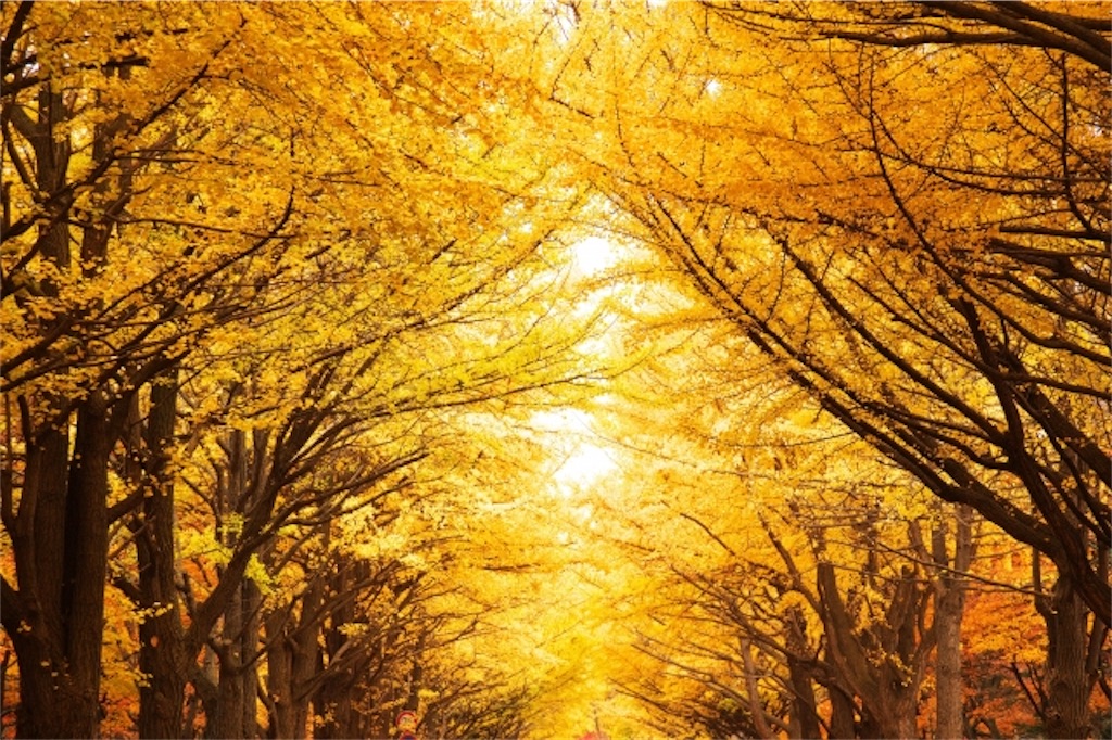 f:id:ciel114:20200922152552j:image