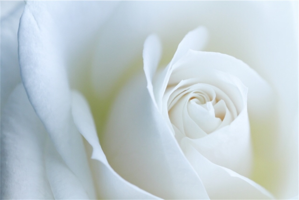 f:id:ciel114:20201115004357j:image
