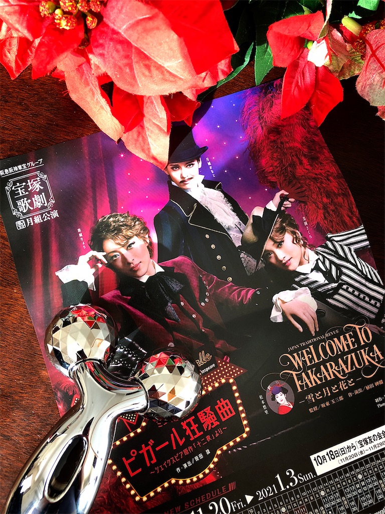 f:id:ciel114:20201215164922j:image