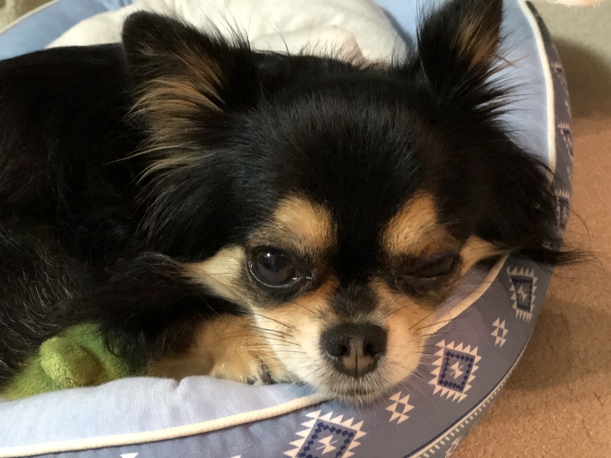 f:id:ciel114:20210516135723j:plain