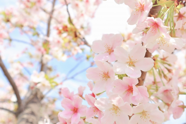 f:id:ciel114:20220324133837j:plain