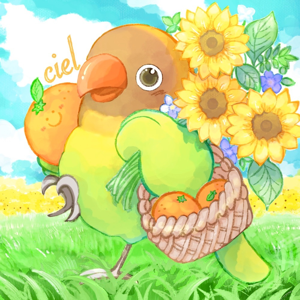 f:id:ciel18m:20200424193548j:plain